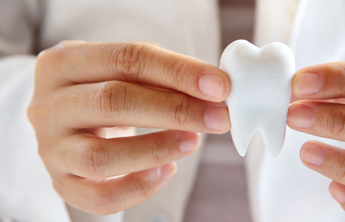Model Tooth in St. Augustine, Florida