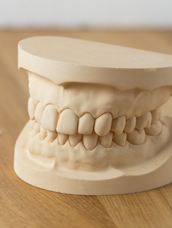 Mouth Model in St. Augustine, Florida